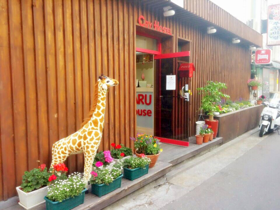 [360VR/KOZAZA PICKS] Naru House – A guesthouse with Chinese/English speaking host