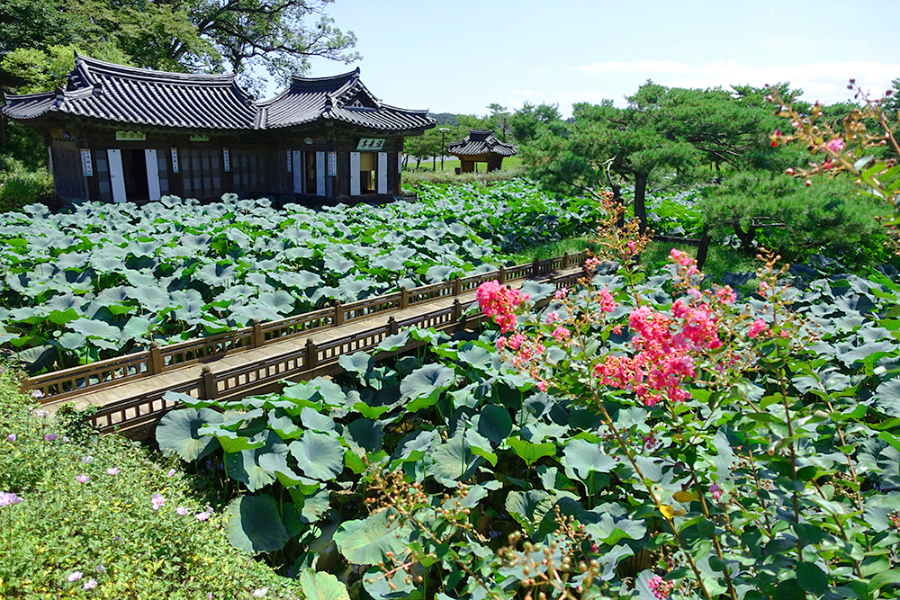 [KOZAZA PICKS] 강릉 선교장 – 드라마 신사임당의 배경이 된 아름다운 명품고택