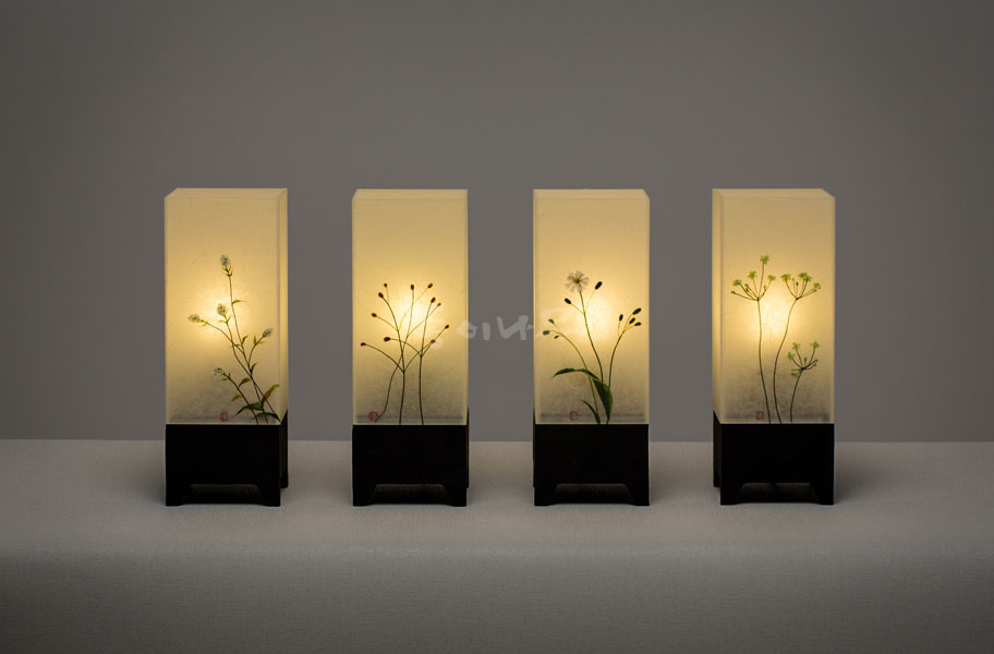 종이나무 겔러리