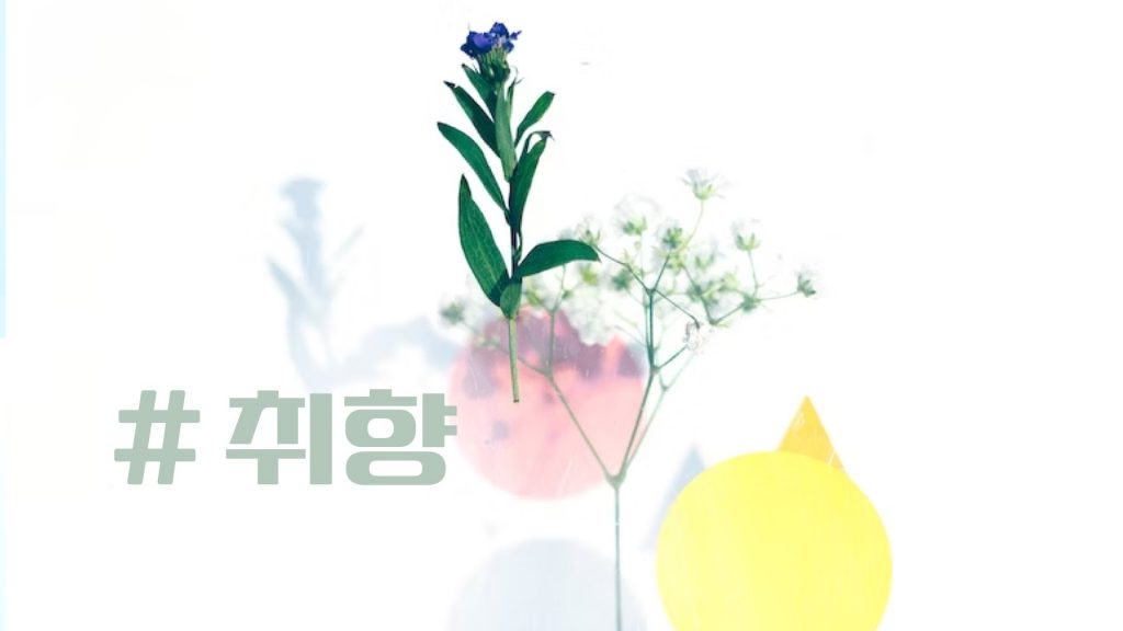 다양한 취향의 숙소가 있습니다